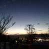 猫になりたい女子大生