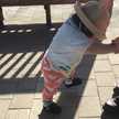 にゃあ☆ちゃん