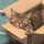 うなぎ猫✩