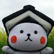 ぴーちゃんmam