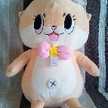 おめめ◉ちゃん