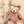asako_ays