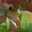 クック5O16M0☆