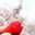 かおり☆かめ