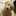 2501olive 2501olive