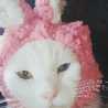 rizu☆mama