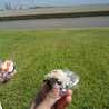 chibizo－