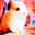 うさぎ三昧