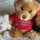 クッキングBEAR♡ クッキングBEAR♡