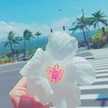 どらるろらっく