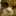 Fat Cat Fat Cat