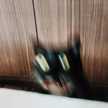 ちぃ兄やん