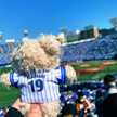 Ayaka☻＊