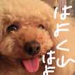 メグズダイニング