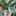 lightgreen lightgreen