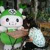 つるのかめ