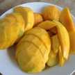 nong＊KDT