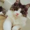 Ayakitty♡