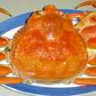 zumipeko