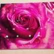 Dir♡Love