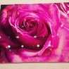 Dir♡Love