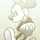 y★e゜mam y★e゜mam