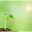 Wakame1119
