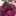 Barbie0319 Barbie0319