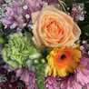herb aroma
