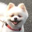 マキちゃんち