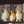 Lapin_x