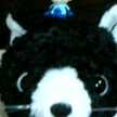 rio_rion