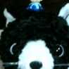 rio_rion rio_rion