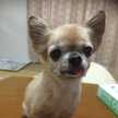 ふなすずやん