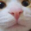 なおみ