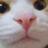 なおみ
