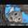 snoopy718
