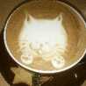 メガネ猫の子