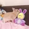 Rianaஐ
