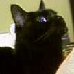 ｋｉｔｙｏｕ