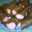 aっkiぃ