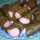 aっkiぃ