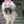 ぶさかわ
