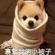 クックAVYCN8☆