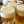 今日も飲み過ぎ