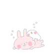 koroʕ•ᴥ•ʔ