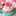せこたん♡ せこたん♡