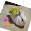 クックみーは