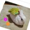 クックみーは