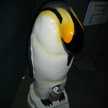 ももペンギン